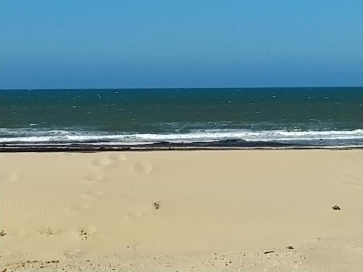 L'Ocenoa Villa Mimizan-Plage Eksteriør bilde